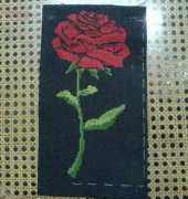A rose