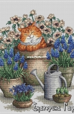 Red cat by Ekaterina Gafenko - XSD !