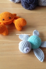 Crab  and turtle
