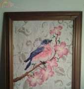 Blue bird in Blossoms
