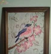 Blue bird in Blossoms