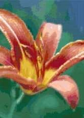 Better Cross Stitch - Daylily