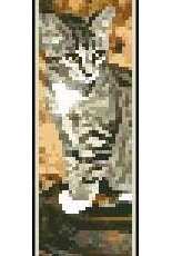 Artecy Cross Stitch Autumn Kitten Bookmark