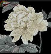 Maia 5678000-01083 Full Bloom I