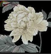Maia 5678000-01083 Full Bloom I
