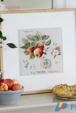 Les Brodeuses Parisiennes LBP - Etude de La Pomme XSD