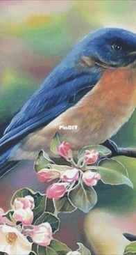 Bird on a branch by Anastasia Fomina/ Asya Fayvel- xsd