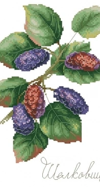 MP Studia HB-770 Gifts of nature Mulberry XSD