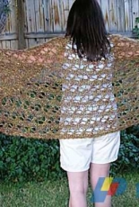 Robins Wrap by Amy Wunx /The Clueless Crafter-Free