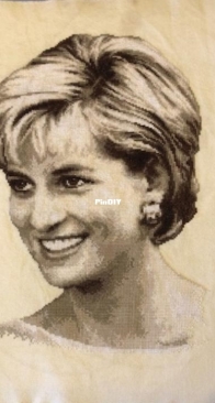 Princess Diana from Vervaco