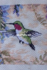 Hummingbirds