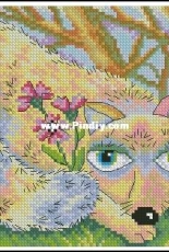 RTO M532 - My Tender Fox