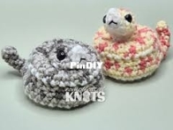Complicated Knots - Kylie Slee - Hognose Snake