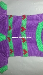 Sweater for dog