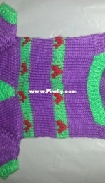 Sweater for dog
