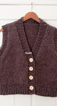 Wildwood Sweater Vest by Ashley Lillis