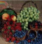 Golden Kite GK 359 - Fruit