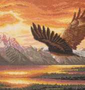 Dimensions 35165 - Silent Flight