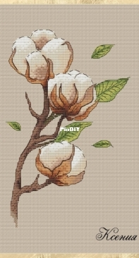 Cotton Sprig by Ksenia Titova