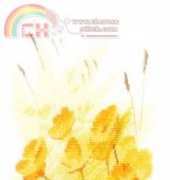 Heritage Stitchcraft - Flower Panels JCBC876 Buttercups Panel by John Clayton XSD
