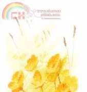 Heritage Stitchcraft - Flower Panels JCBC876 Buttercups Panel by John Clayton XSD
