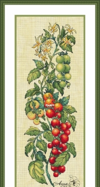 Tomatoes by Anna Petunova