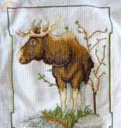 Moose for Mum