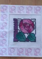 mackintosh rose