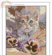 RTO M269-Cat daydreaming