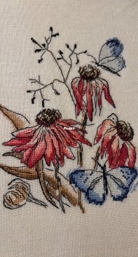 AnnyFunny Camomile