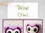 Noia Land- Wise Owl