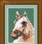 Megat 215 horses