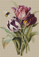Tulip by Evgenia Kolesnikova / Евгения Колесникова