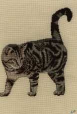 Cat - My work