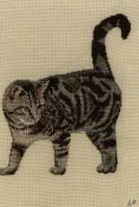 Cat - My work