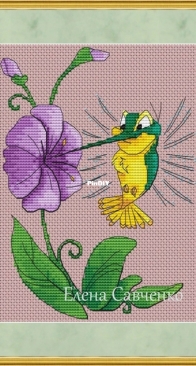 Hummingbird by Elena Savchenko- Free