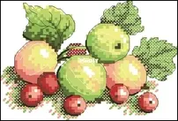 M.P. Studio - M-592 Gooseberry XSD