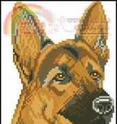 Eva Rosenstand ER 12-627 German Shepherd Dog