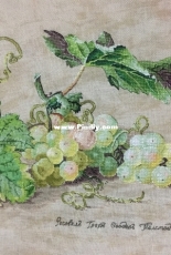 Ekaterina Volkova-Grapes