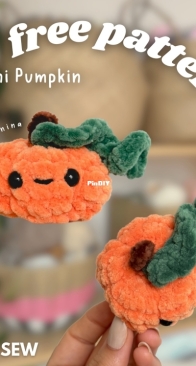 Crochet by Janina - Mini Pumpkin - Free