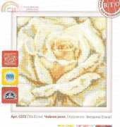 RTO C072 Tea Rose