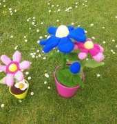 plantas