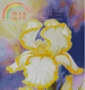 I Love cross stitch IL-004 White and Yellow Irises