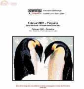 Kreuzstich Kreativ - Penguins