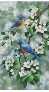 Cross Stitch Love - Birds On A Flowering Branch by Maria Pulinovich