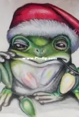 Frog drawing for my aunt