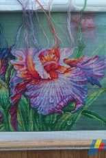 Harmony Of Nature-RTO