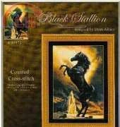 KK99973 Black Stallion