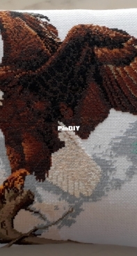American flying eagle cushion