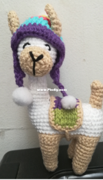 Monica Schneider -Pacha Llama